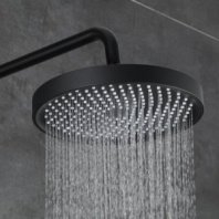 Лейка для душа, пластик, 1реж, чер, Frap, F016-25